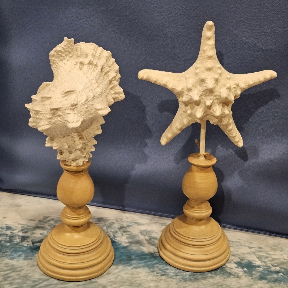 Home Accents Coastal Conch Shell & Starfish‎ Pedestal Decor Set 13"